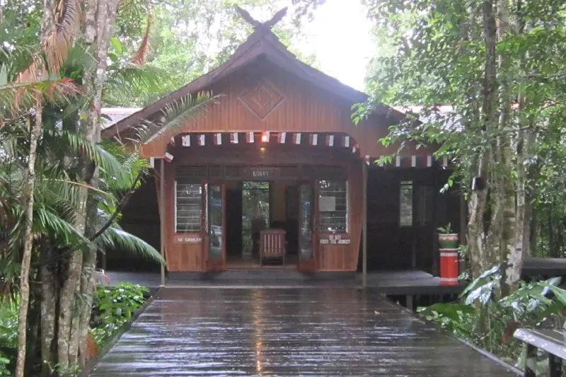 Rimba Lodge Tanjung Puting